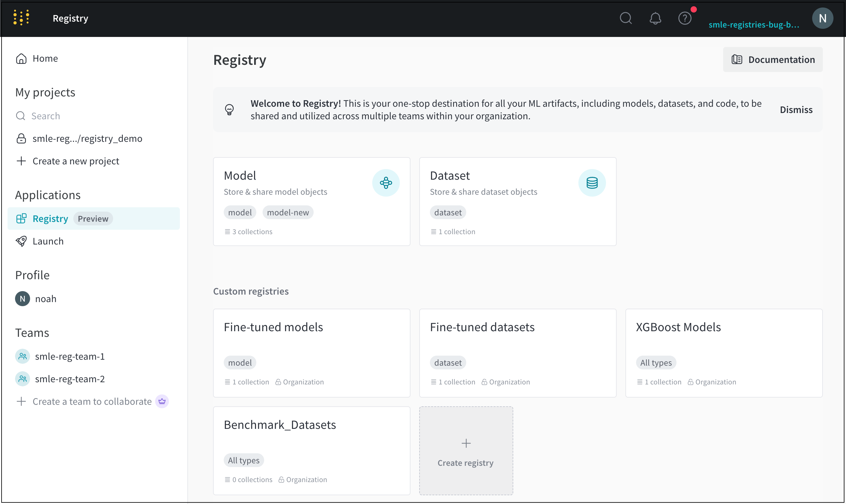 W&B Registry