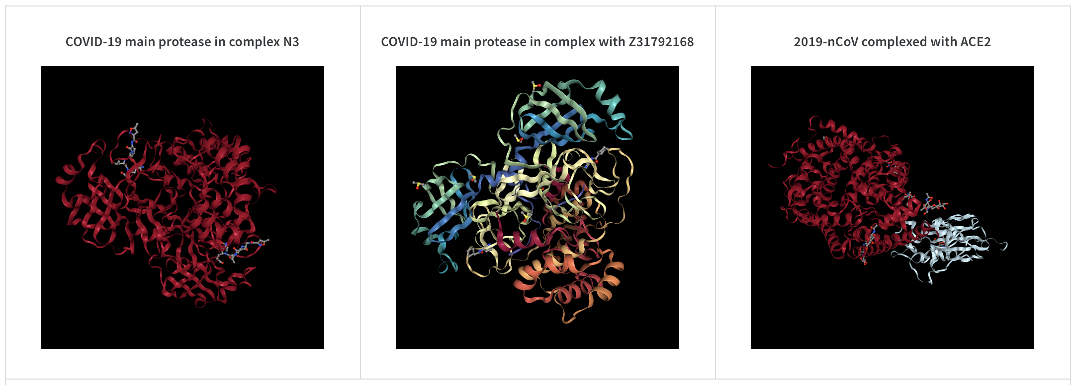 Molecule structure